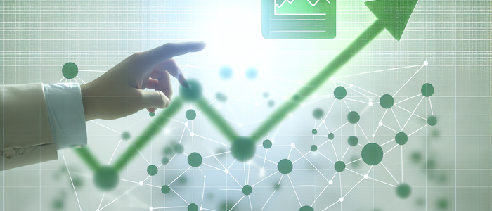 Выбор роста доходов